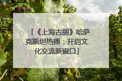 《上海古丽》哈萨克斯坦热播：开启文化交流新窗口