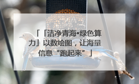 「洁净青海•绿色算力」以数绘图，让海量信息“跑起来”