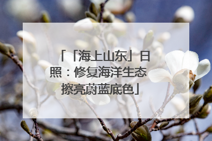 「海上山东」日照：修复海洋生态 擦亮蔚蓝底色