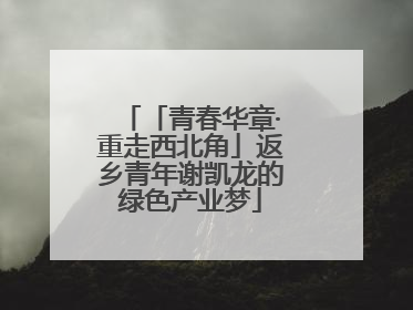「青春华章·重走西北角」返乡青年谢凯龙的绿色产业梦