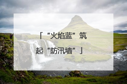 “火焰蓝”筑起“防汛墙”