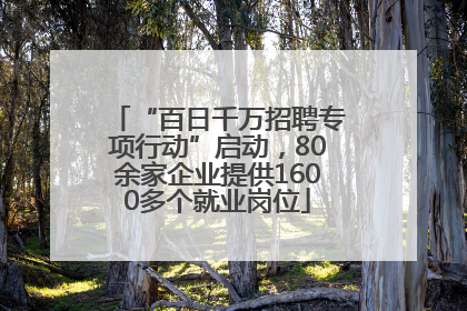 “百日千万招聘专项行动”启动，80余家企业提供1600多个就业岗位
