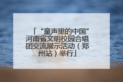 “童声里的中国”河南省文明校园合唱团交流展示活动（郑州站）举行