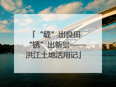 “缝”出良田 “锈”出新景——洪江土地活用记