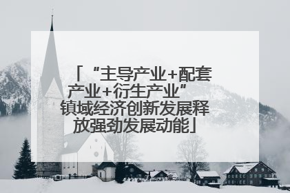 “主导产业+配套产业+衍生产业” 镇域经济创新发展释放强劲发展动能