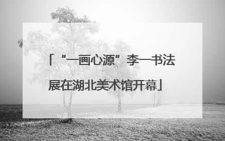 “一画心源”李一书法展在湖北美术馆开幕