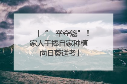 “一举夺魁”！家人手捧自家种植向日葵送考