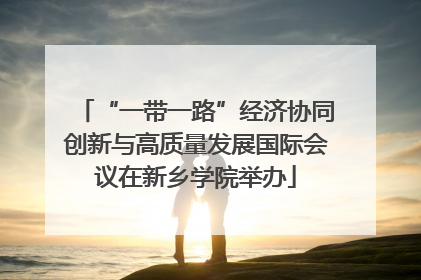 “一带一路”经济协同创新与高质量发展国际会议在新乡学院举办