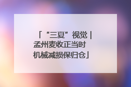 “三夏”视觉｜孟州麦收正当时 机械减损保归仓