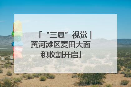 “三夏”视觉｜黄河滩区麦田大面积收割开启