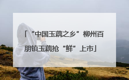 “中国玉藕之乡”柳州百朋镇玉藕抢“鲜”上市