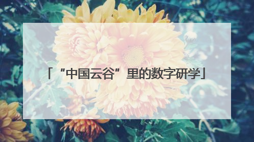 “中国云谷”里的数字研学