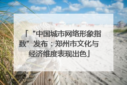 “中国城市网络形象指数”发布：郑州市文化与经济维度表现出色