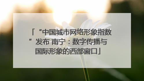 “中国城市网络形象指数”发布 南宁：数字传播与国际形象的西部窗口