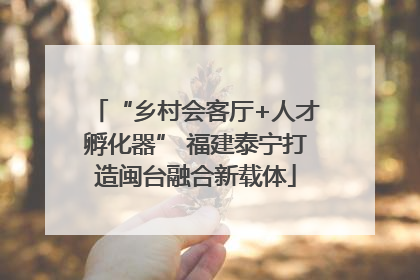 “乡村会客厅+人才孵化器” 福建泰宁打造闽台融合新载体