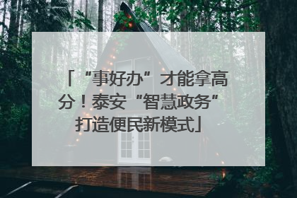 “事好办”才能拿高分！泰安“智慧政务”打造便民新模式