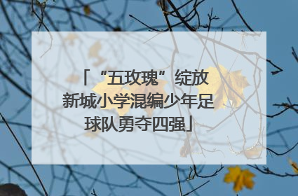 “五玫瑰”绽放 新城小学混编少年足球队勇夺四强