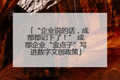 “企业说的话，成都都记下了！” 成都企业“金点子”写进数字文创政策