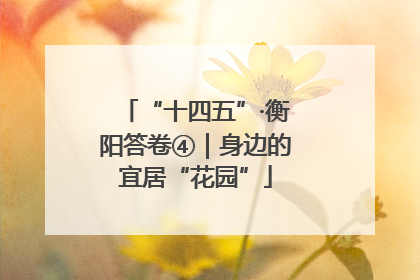 “十四五”·衡阳答卷④｜身边的宜居“花园”