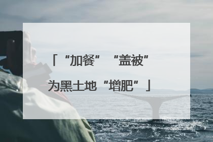 “加餐”“盖被” 为黑土地“增肥”