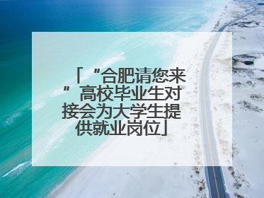 “合肥请您来”高校毕业生对接会为大学生提供就业岗位