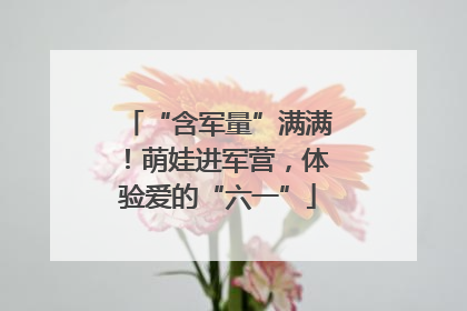 “含军量”满满！萌娃进军营，体验爱的“六一”
