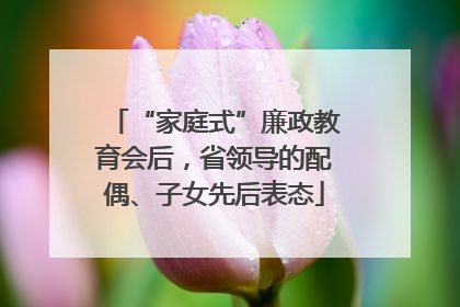 “家庭式”廉政教育会后，省领导的配偶、子女先后表态