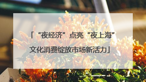 “夜经济”点亮“夜上海” 文化消费绽放市场新活力