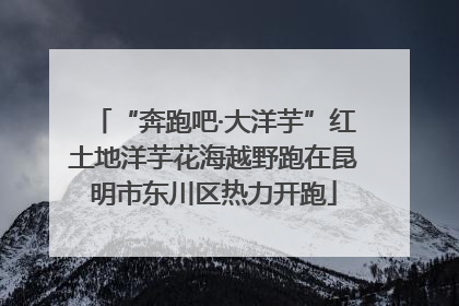 “奔跑吧·大洋芋”红土地洋芋花海越野跑在昆明市东川区热力开跑