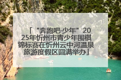 “奔跑吧·少年”2025年忻州市青少年围棋锦标赛在忻州云中河温泉旅游度假区圆满举办