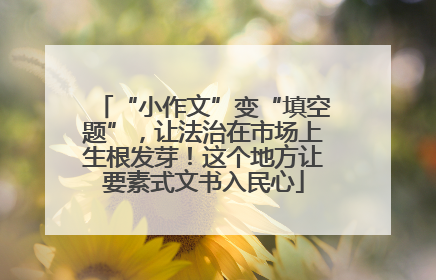 “小作文”变“填空题”，让法治在市场上生根发芽！这个地方让要素式文书入民心