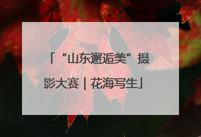 “山东邂逅美”摄影大赛｜花海写生