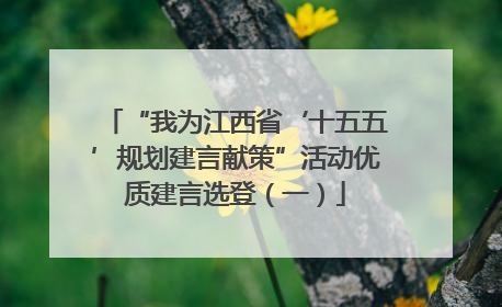 “我为江西省‘十五五’规划建言献策”活动优质建言选登（一）