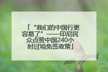 “我们的中国行更容易了”——印尼民众点赞中国240小时过境免签政策