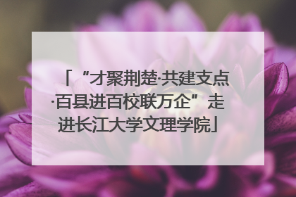 “才聚荆楚·共建支点·百县进百校联万企”走进长江大学文理学院