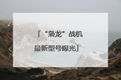 “枭龙”战机最新型号曝光