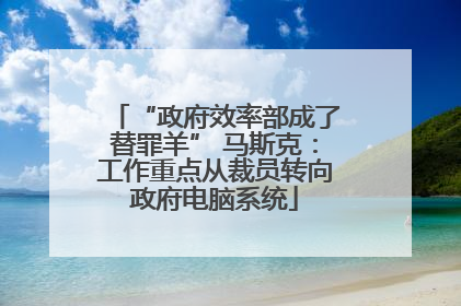“政府效率部成了替罪羊” 马斯克：工作重点从裁员转向政府电脑系统