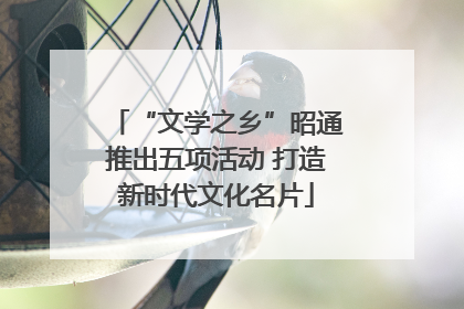 “文学之乡”昭通推出五项活动 打造新时代文化名片