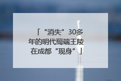“消失”30多年的明代蜀端王陵在成都“现身”