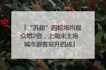 “苏超”四轮场均观众增2倍，上周末主场城市游客量升四成