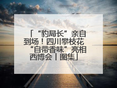 “豹局长”亲自到场！四川攀枝花“自带香味”亮相西博会丨图集