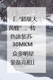 “超级大黄蜂”、特色涂装苏-30MKM 众多明星装备亮相