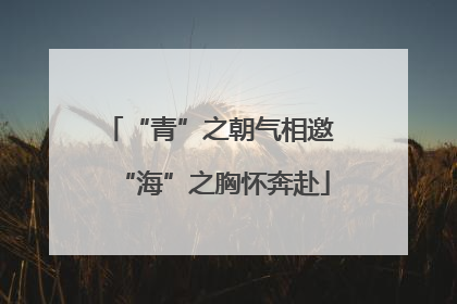 “青”之朝气相邀 “海”之胸怀奔赴