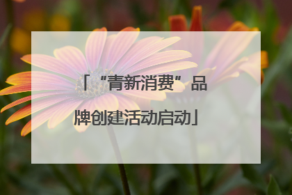 “青新消费”品牌创建活动启动