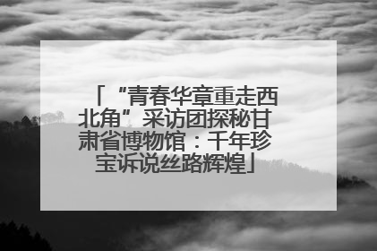 “青春华章重走西北角”采访团探秘甘肃省博物馆：千年珍宝诉说丝路辉煌