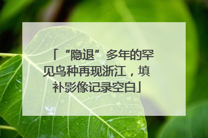 “隐退”多年的罕见鸟种再现浙江，填补影像记录空白