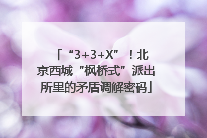 “3+3+X”！北京西城“枫桥式”派出所里的矛盾调解密码
