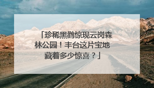 珍稀黑鹳惊现云岗森林公园！丰台这片宝地藏着多少惊喜？