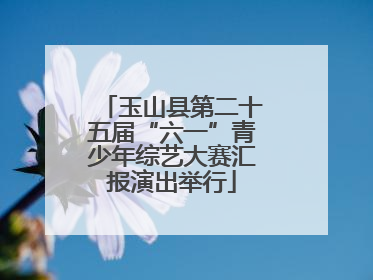 玉山县第二十五届“六一”青少年综艺大赛汇报演出举行