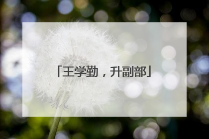 王学勤，升副部